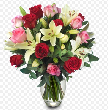 quali fiori regalare per un compleanno - Quali Fiori Regalare Per Un Compleanno