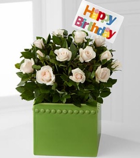 2 11 - Bouquet Di Fiori Per Augurare Buon Compleanno