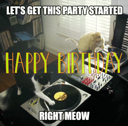 funny cat happy birthday party wishes gif gif - Funny Birthday Wishes For Best Friend Male