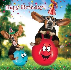Auguri Di Compleanno Immagini Con Cani - Auguri Di Compleanno Immagini  | Un Desiderio Per Un Giorno Speciale