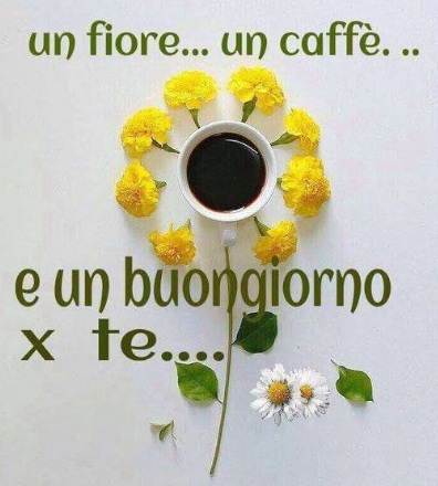 Buongiorno Con I Fiori E Caffe - Buongiorno Con I Fiori